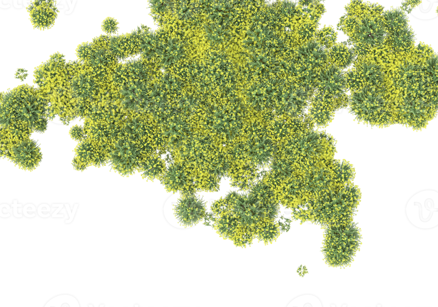 Grass with flowers isolated on transparent background. 3d rendering - illustration png