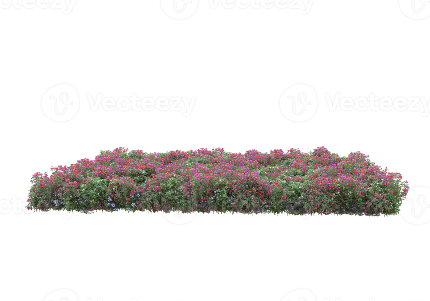 herbe avec des fleurs isolées sur fond transparent. rendu 3d - illustration png