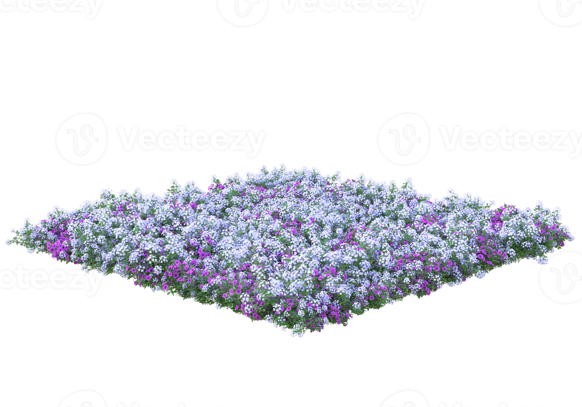 Grass with flowers isolated on transparent background. 3d rendering