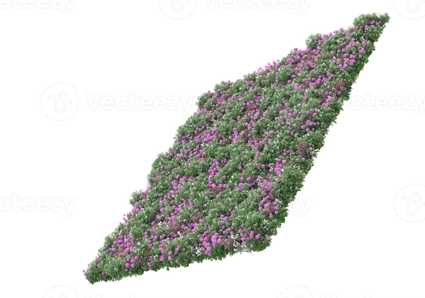 Gras mit Blumen isoliert auf transparentem Hintergrund. 3D-Rendering - Abbildung png