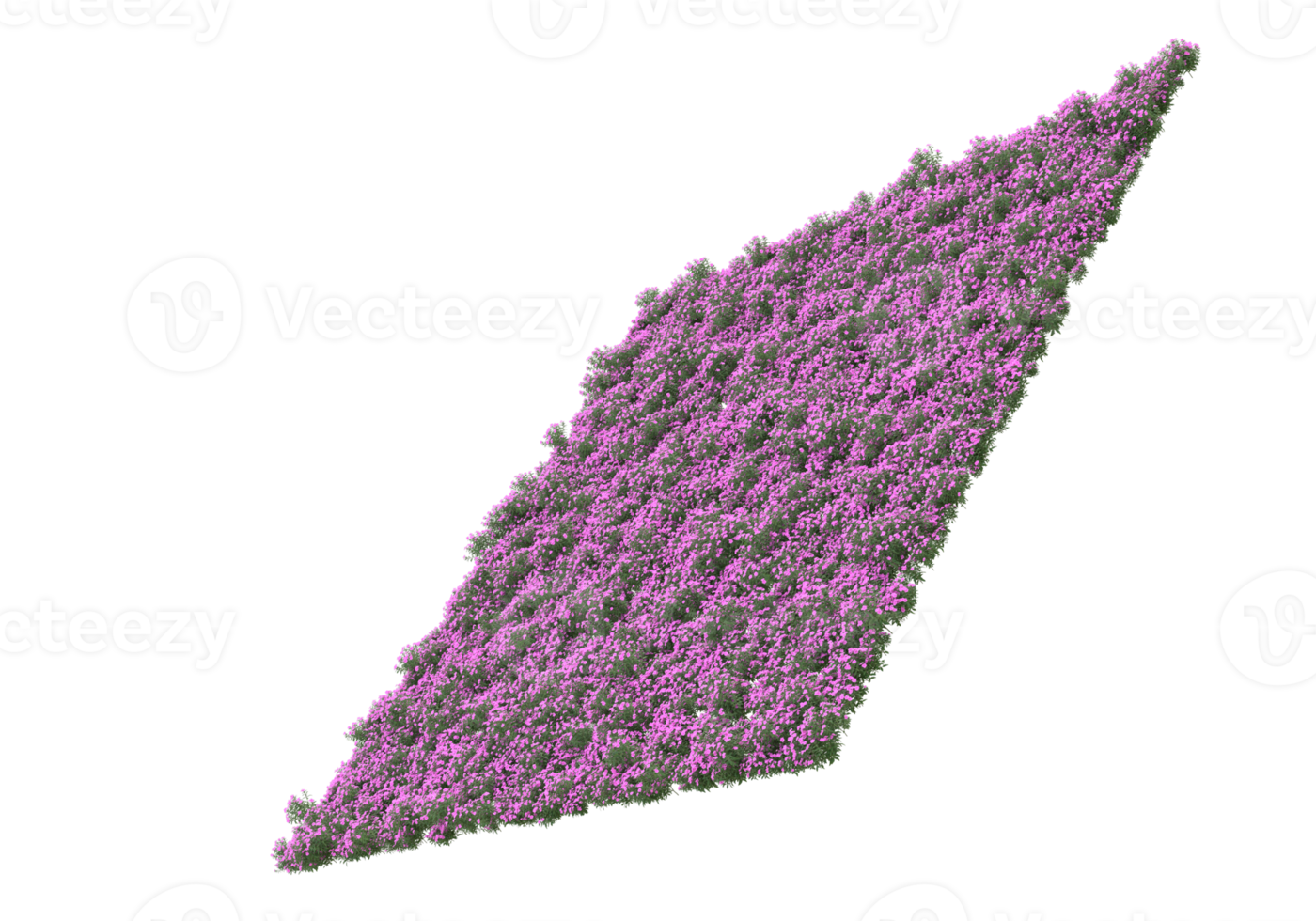 gras met bloemen geïsoleerd Aan transparant achtergrond. 3d renderen - illustratie png