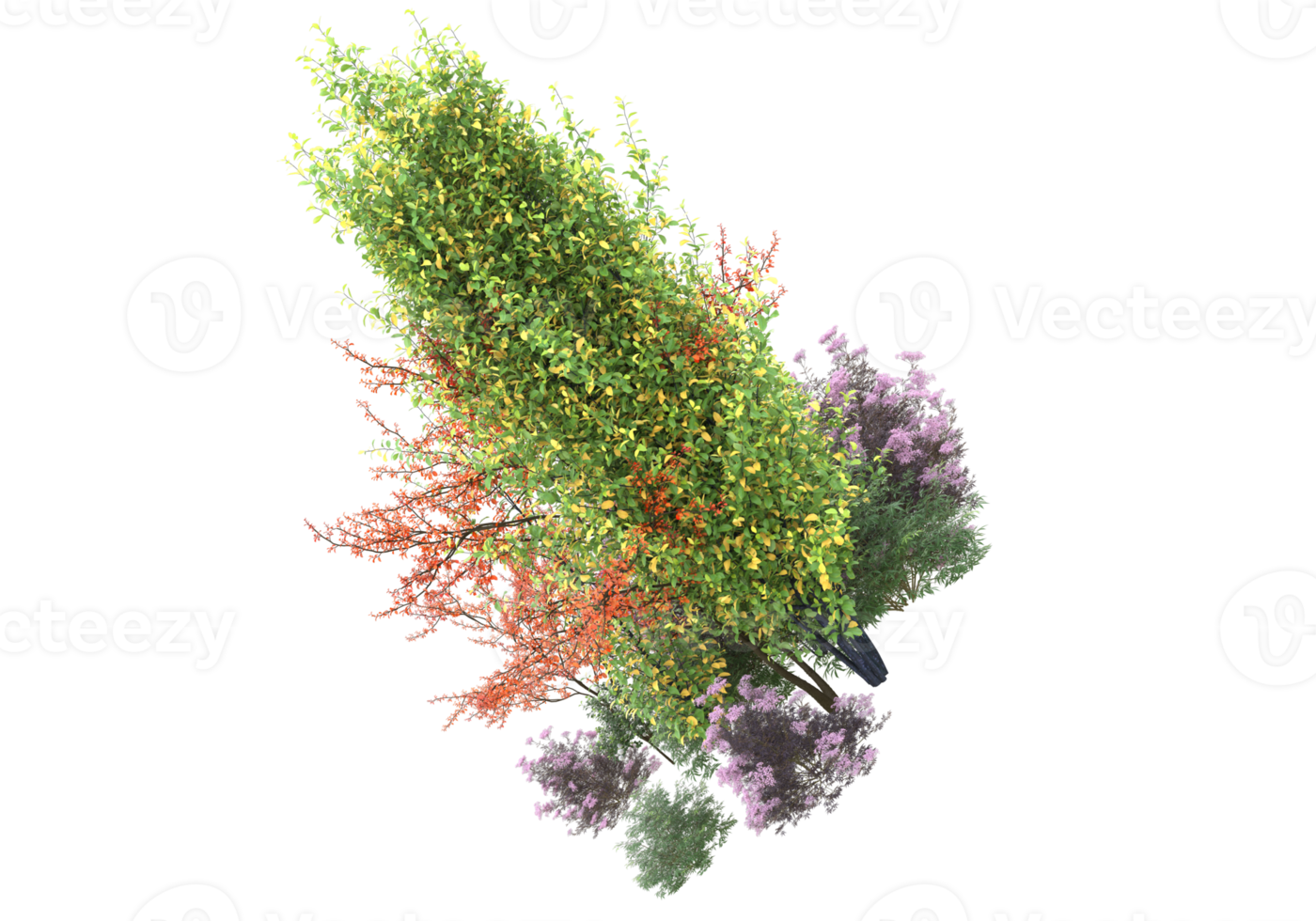 Gras mit Blumen isoliert auf transparentem Hintergrund. 3D-Rendering - Abbildung png