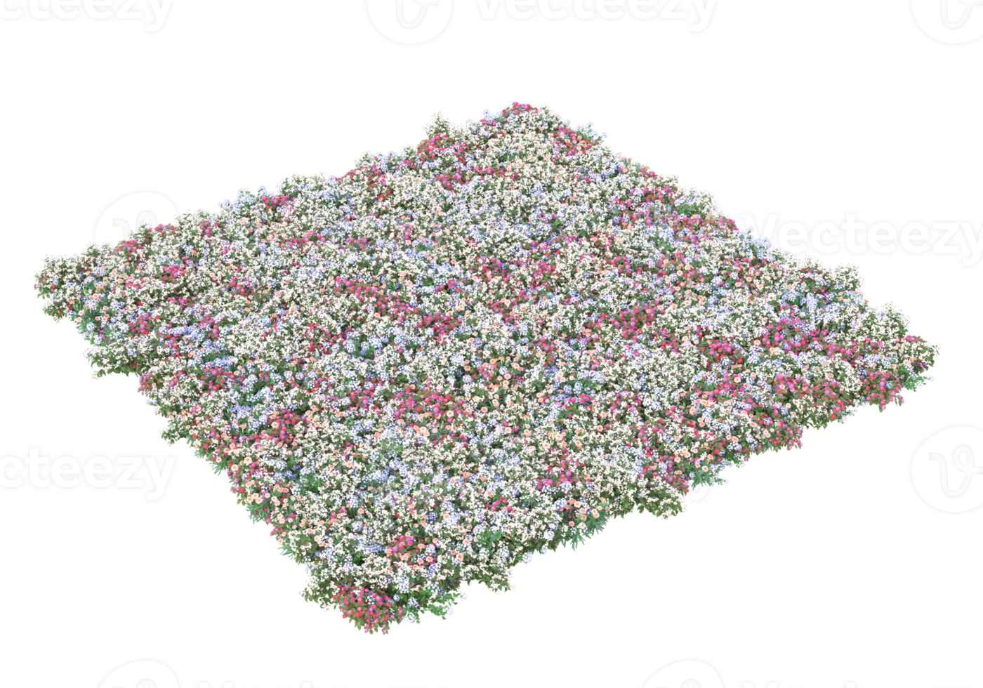 gras met bloemen geïsoleerd Aan transparant achtergrond. 3d renderen - illustratie png