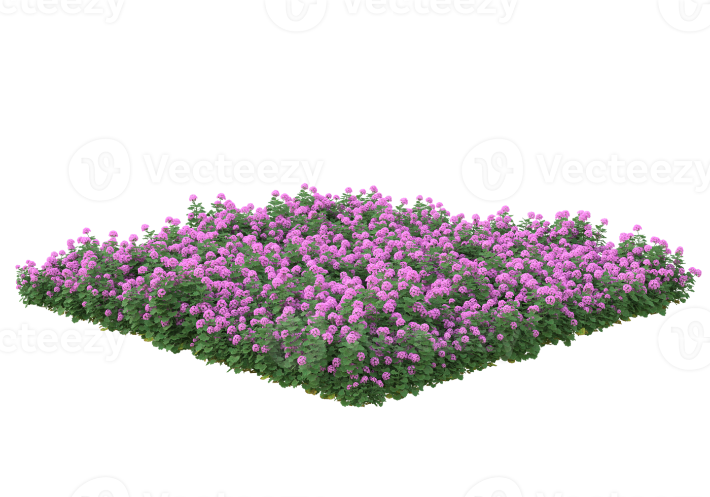 herbe avec des fleurs isolées sur fond transparent. rendu 3d - illustration png