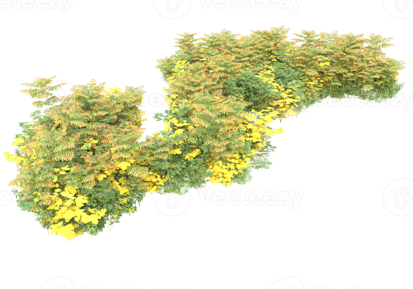 gräs med blommor isolerat på transparent bakgrund. 3d tolkning - illustration png