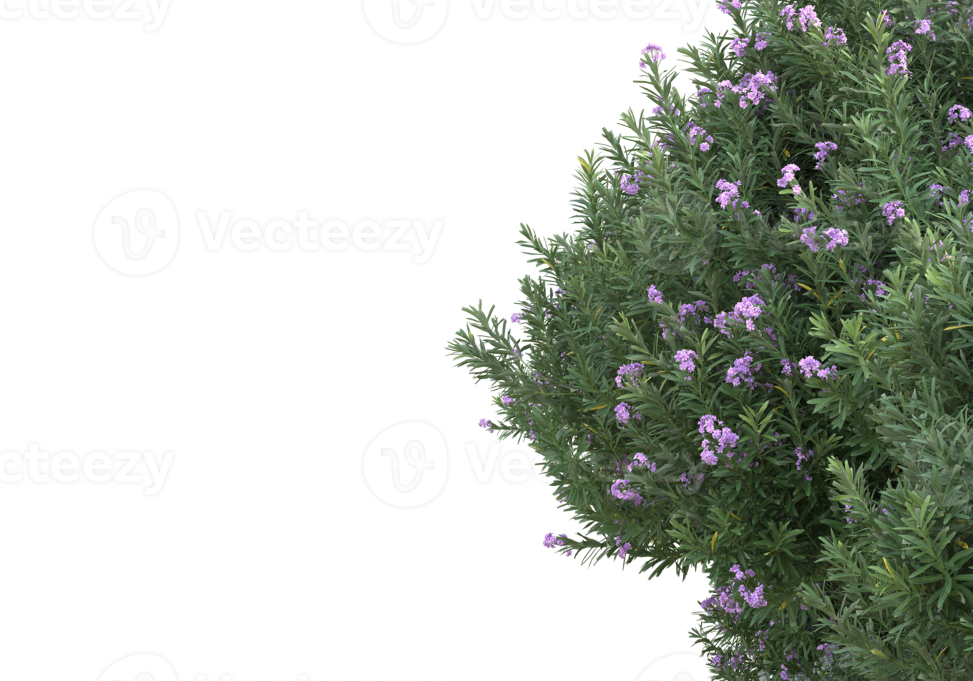 Grass with flowers isolated on transparent background. 3d rendering - illustration png