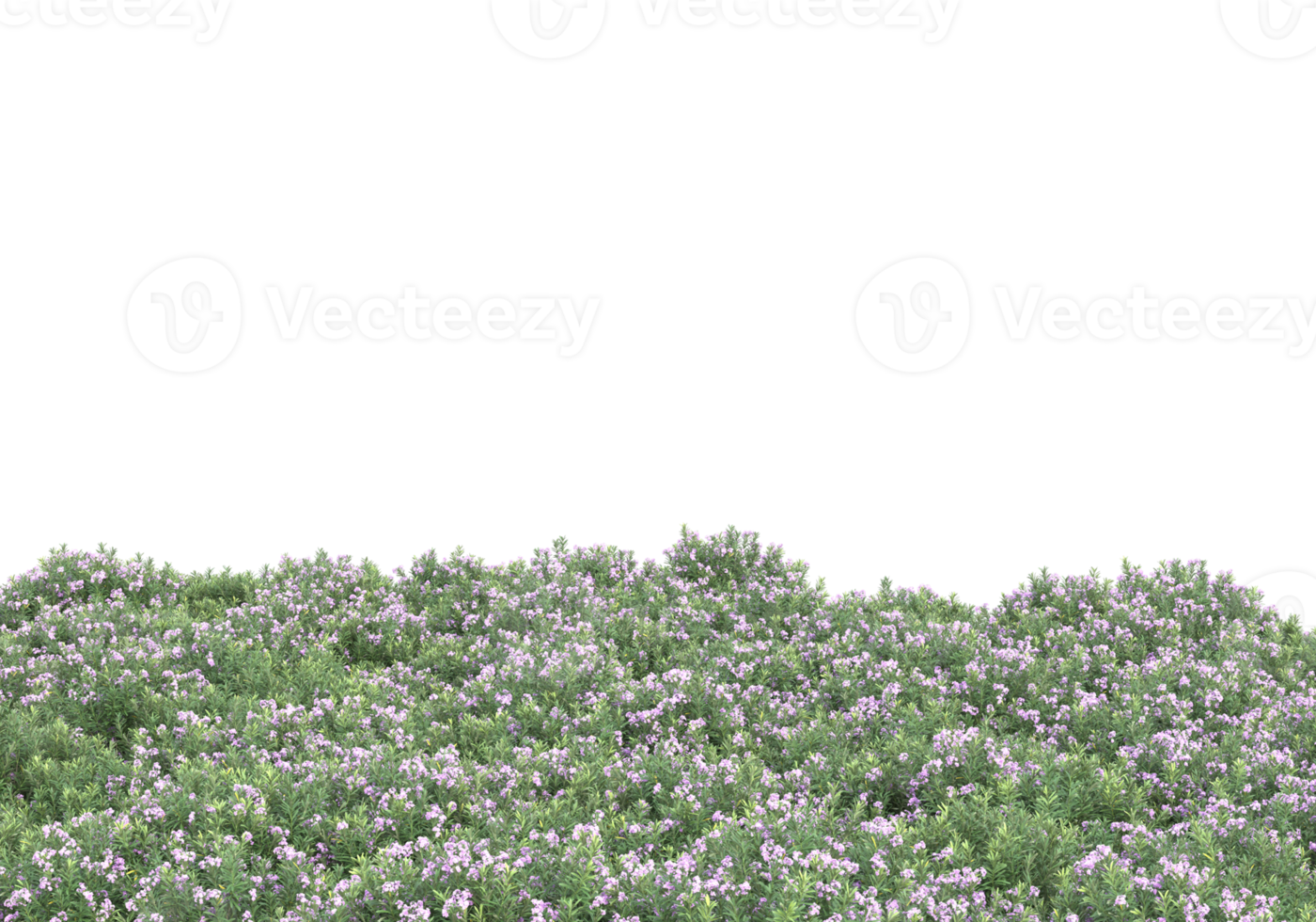 Grass with flowers isolated on transparent background. 3d rendering - illustration png