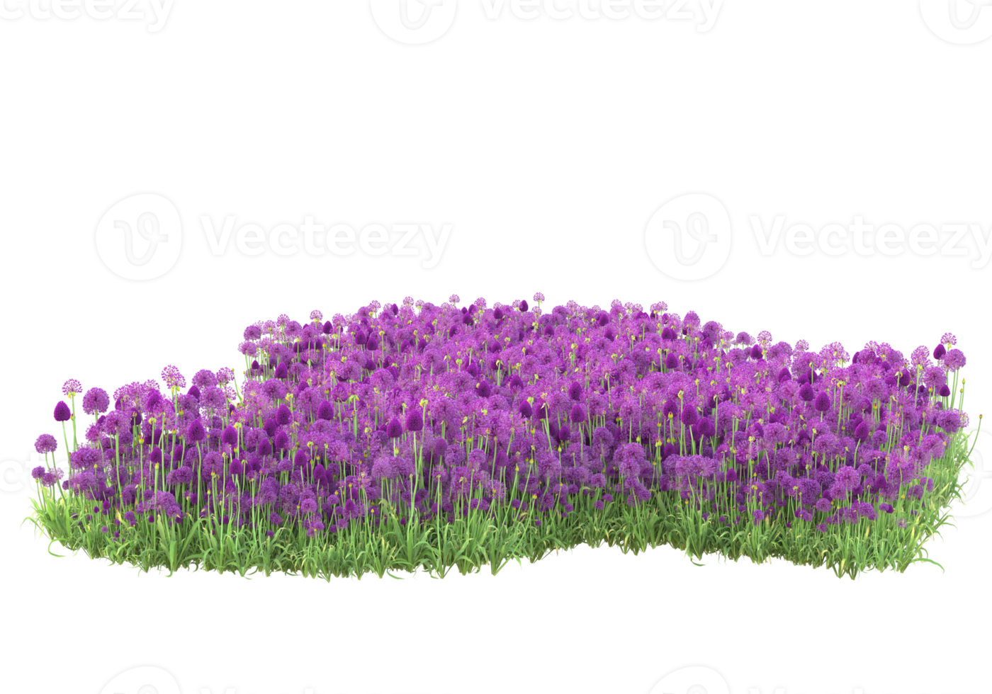 Grass with flowers isolated on transparent background. 3d rendering - illustration png