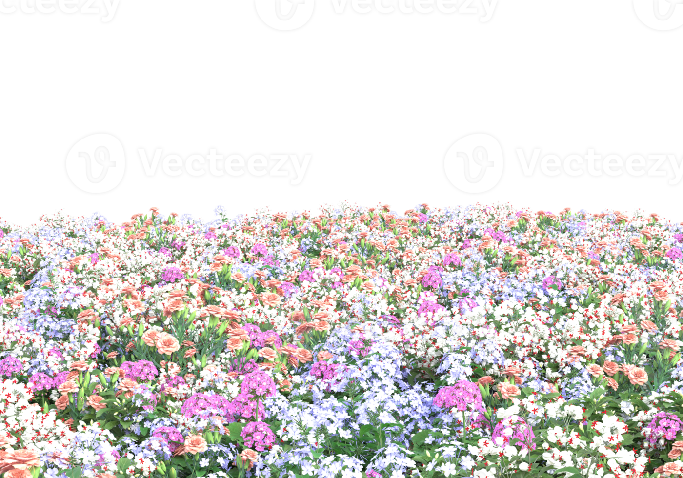 Grass with flowers isolated on transparent background. 3d rendering - illustration png