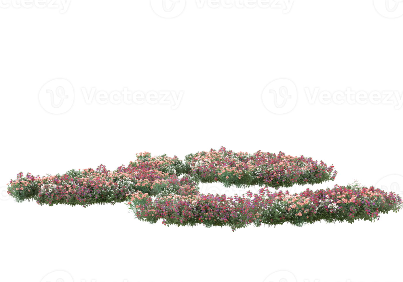 gras met bloemen geïsoleerd Aan transparant achtergrond. 3d renderen - illustratie png