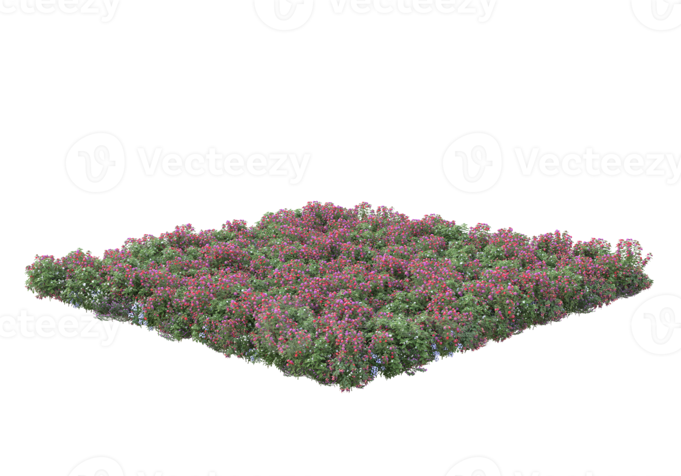 gras met bloemen geïsoleerd Aan transparant achtergrond. 3d renderen - illustratie png