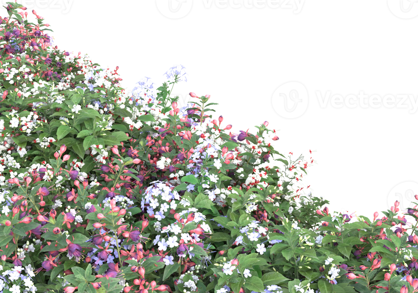 Grass with flowers isolated on transparent background. 3d rendering - illustration png