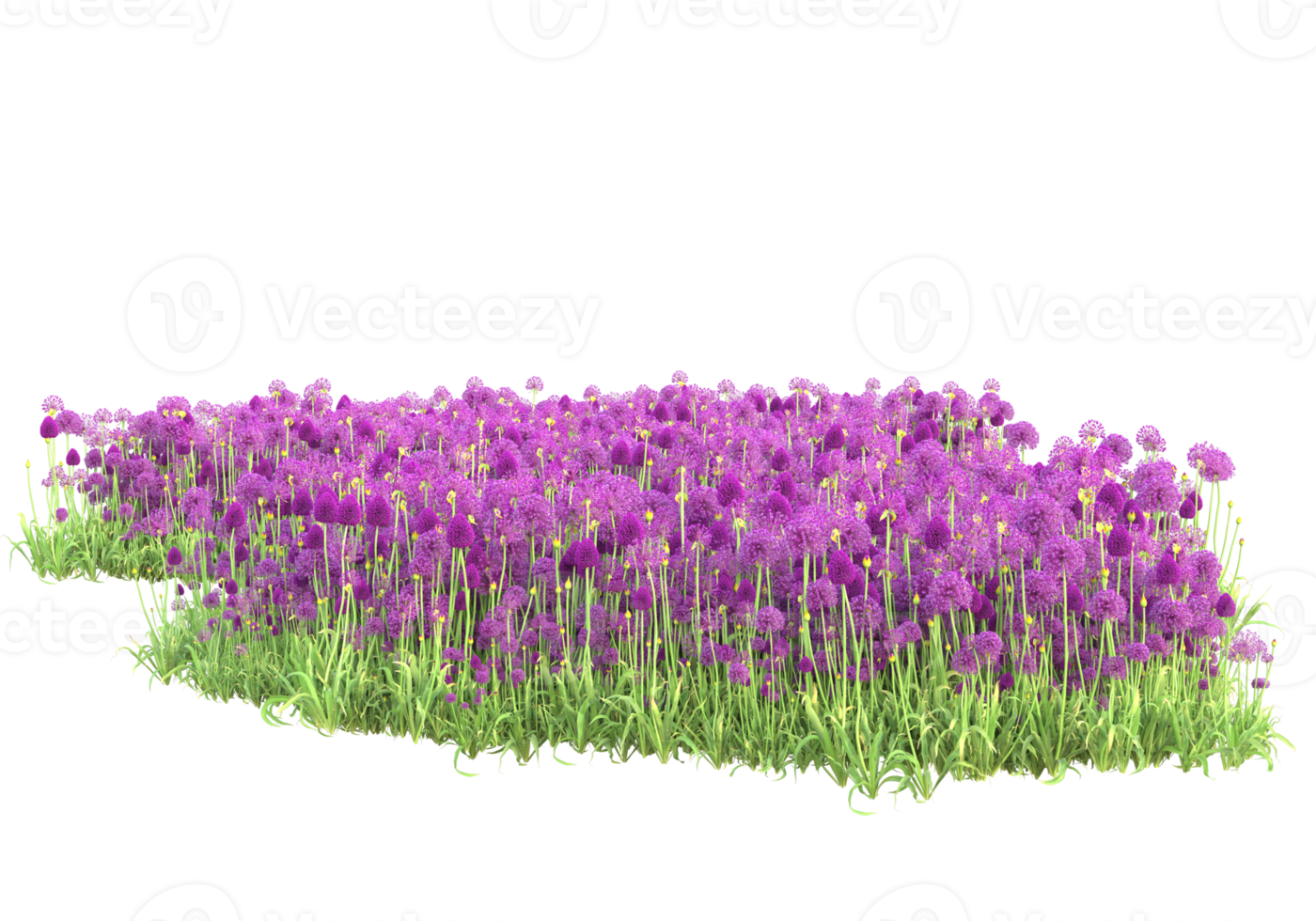 Grass with flowers isolated on transparent background. 3d rendering - illustration png