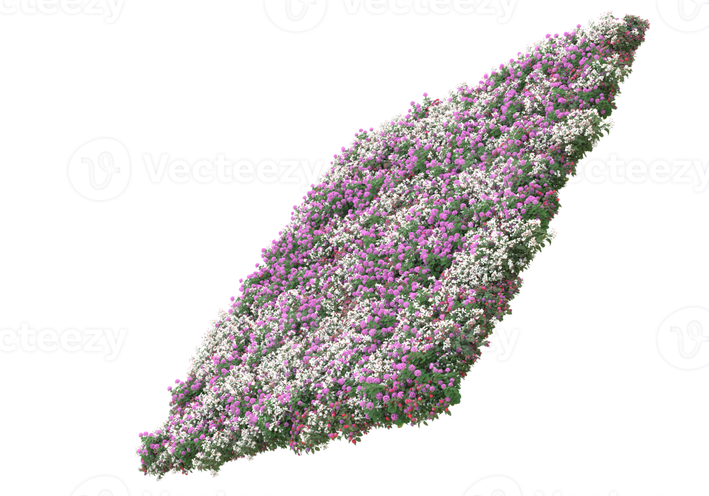 Grass with flowers isolated on transparent background. 3d rendering - illustration png