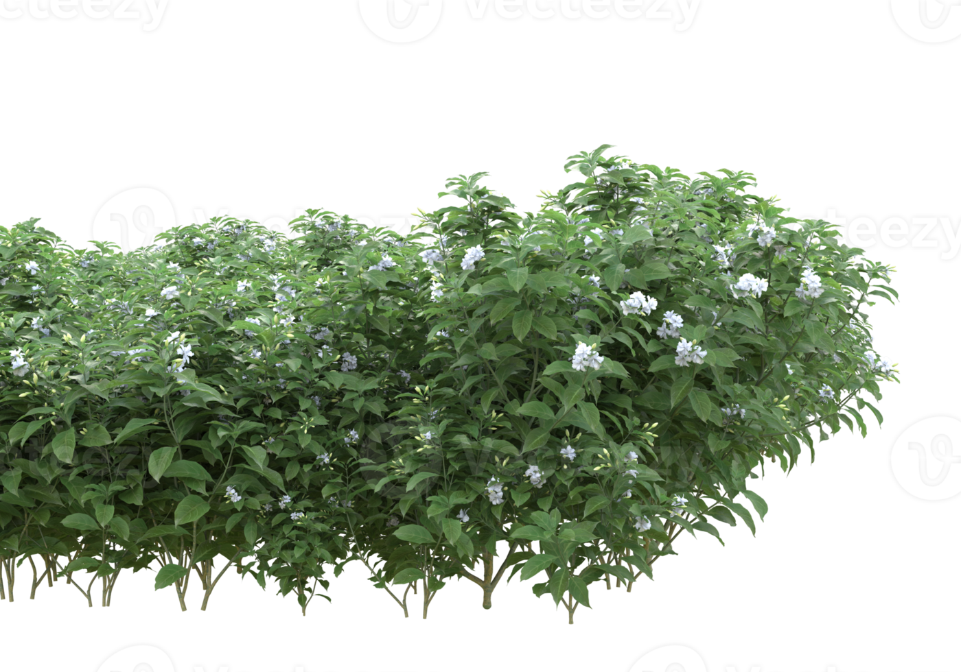 Grass with flowers isolated on transparent background. 3d rendering - illustration png