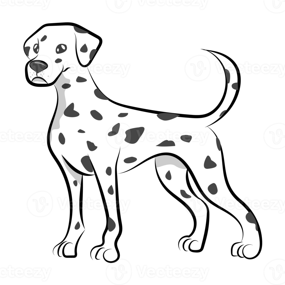 staand dalmatiër hond png