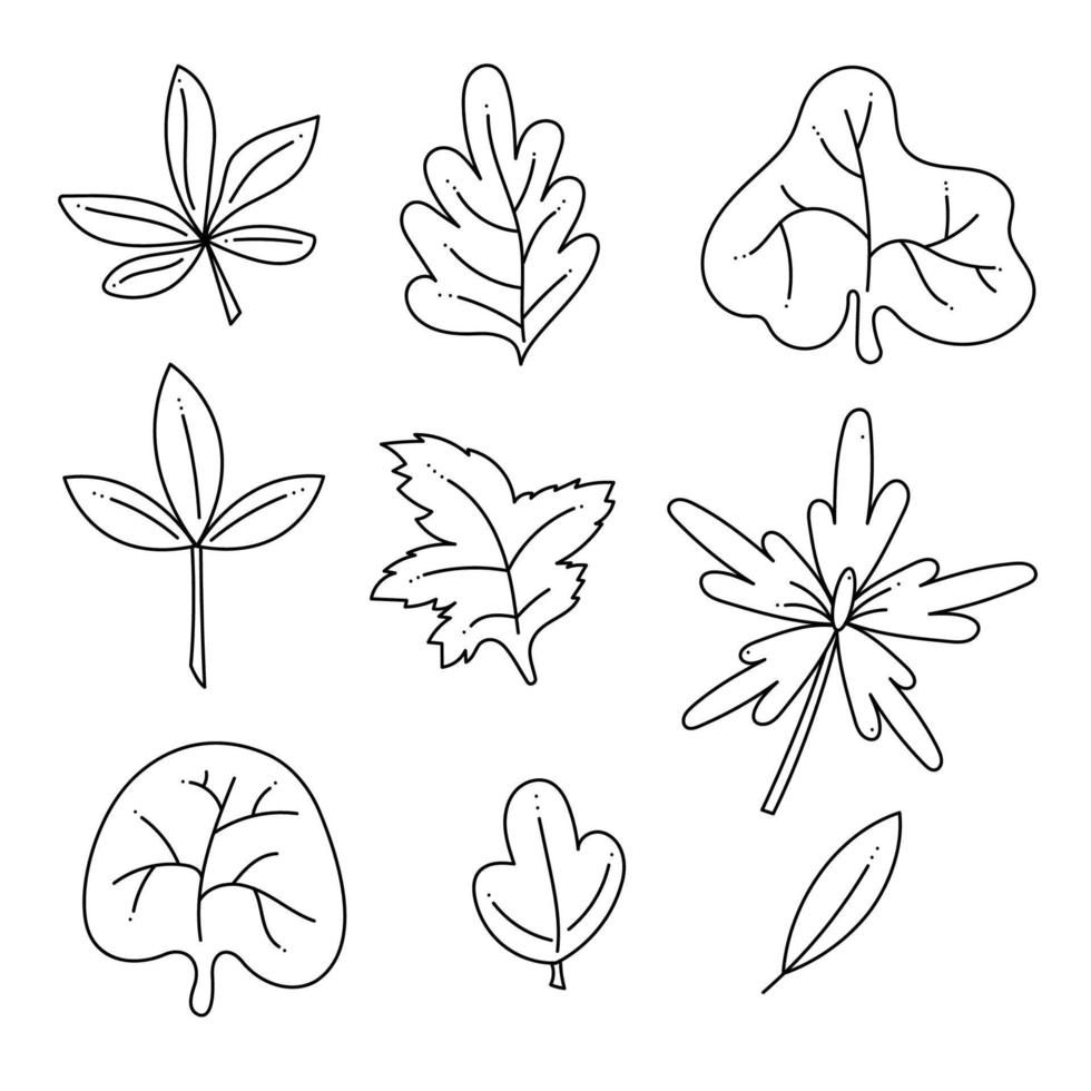 Set with 9 leaves doodle abstract. Hand drawn outline vector illustration.