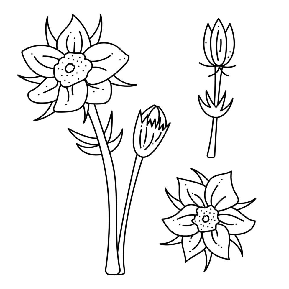 Set with Dream grass, Lumbago flower doodle. Hand drawn outline vector illustration.