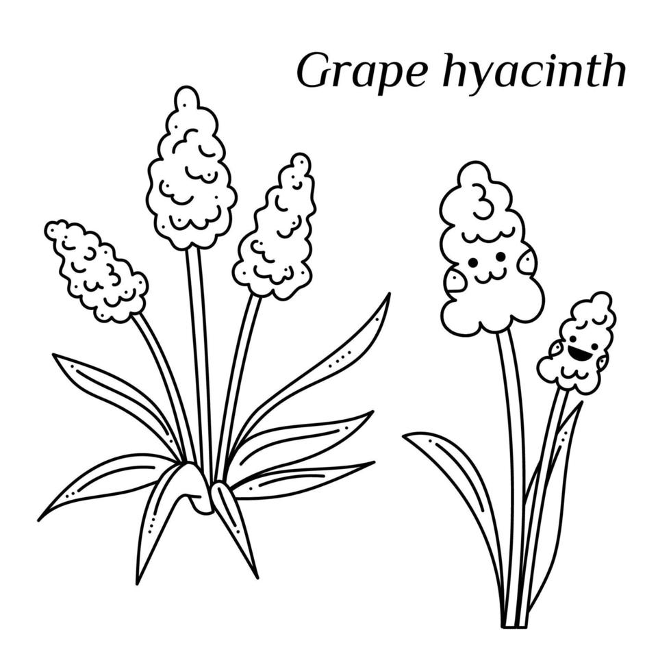 Set with Grape hyacinth and character doodle. Hand drawn outline vector illustration.