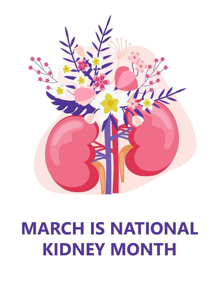 National kidney month concept vector. Heath care event is celebrated in March. Kidneys are shown on the floral vector