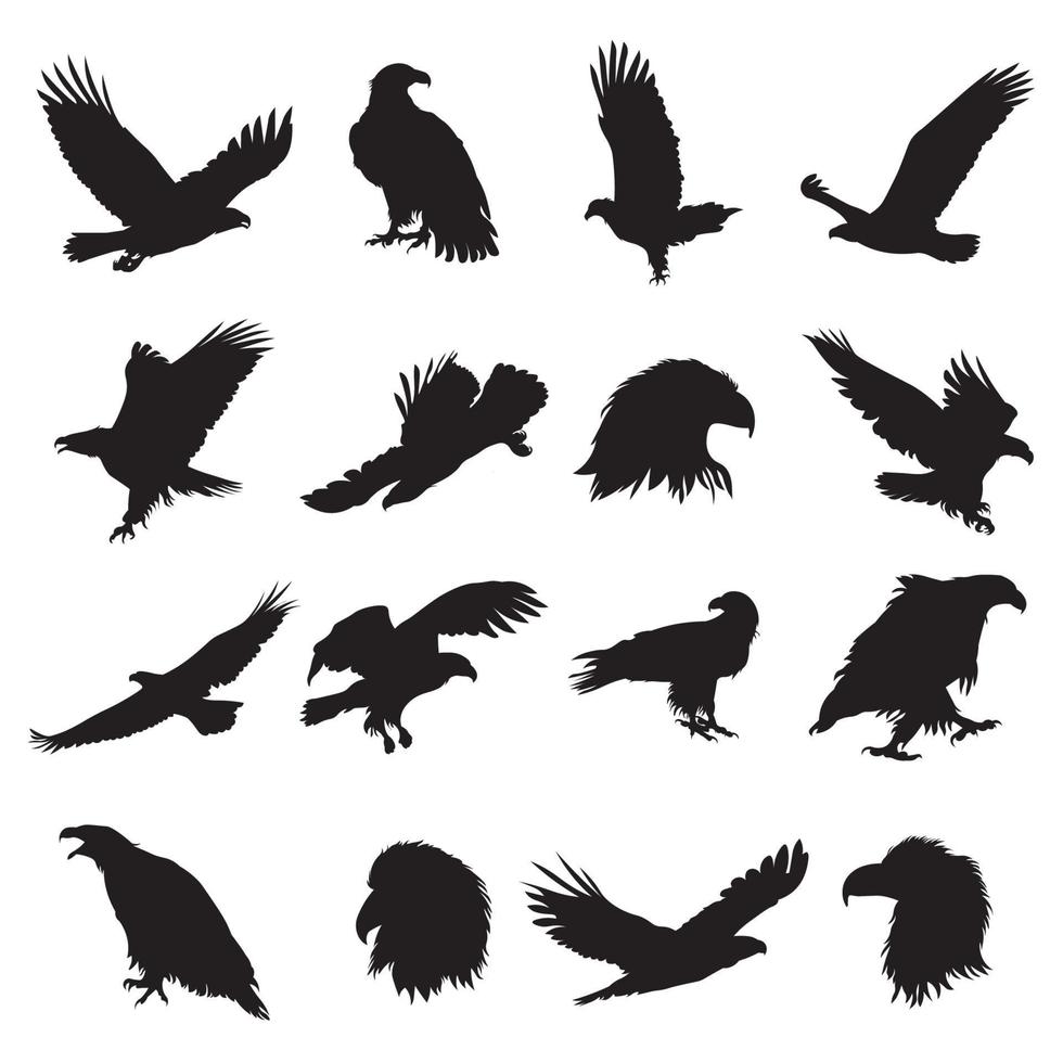 conjunto de ilustración de vector de silueta de águila calva
