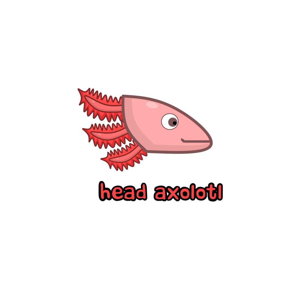 vector cartoon cute salamander face