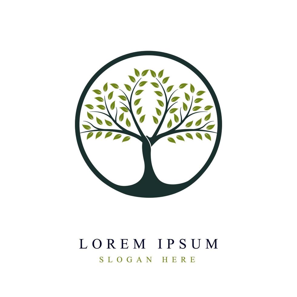 Tree logo design in vivid circle, tree vector. Tree of life logo design inspiration vector