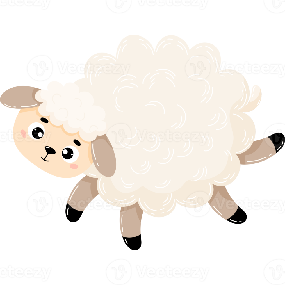 Cute funny sheep png