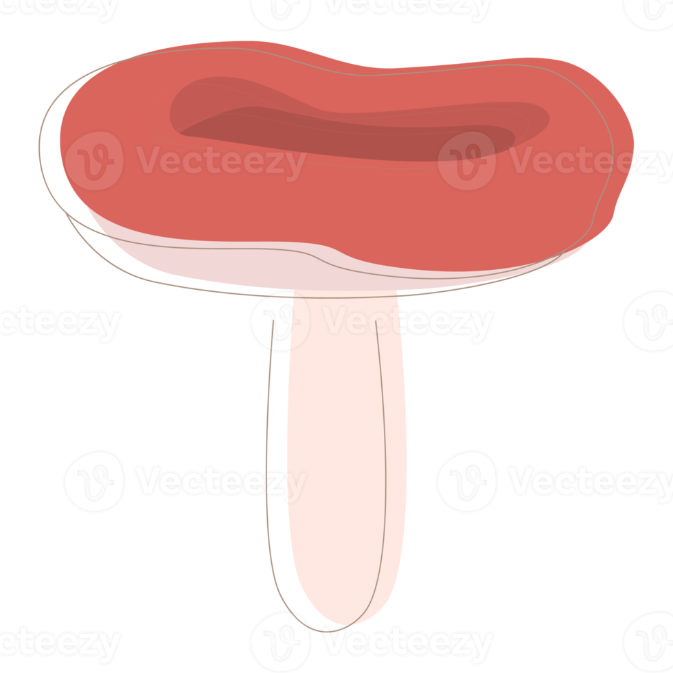 hongo russula. hongos orgánicos comestibles. trufa. Tipos de hongos silvestres del bosque. ilustración png colorida.