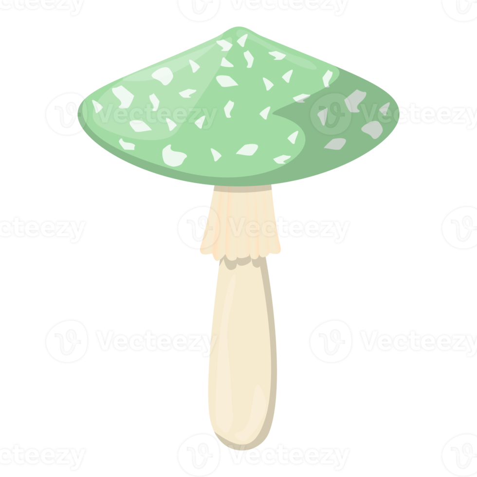 champignon amanite verte. champignons biologiques comestibles. truffe. types de champignons sauvages forestiers. illustration png colorée.