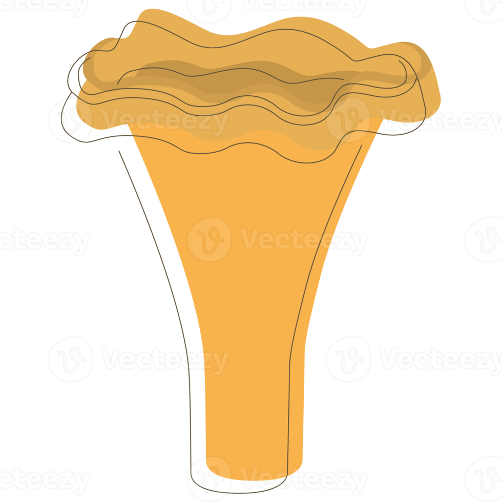 Chanterelle mushroom. Edible Organic mushrooms. Truffle. Forest wild mushrooms types. Colorful PNG illustration.