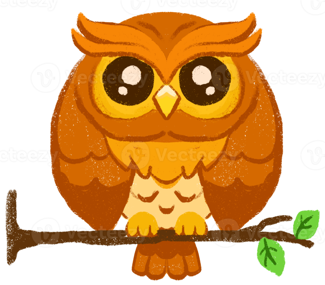 Cartoon cute owl character standing on tree branch sketching illustration png