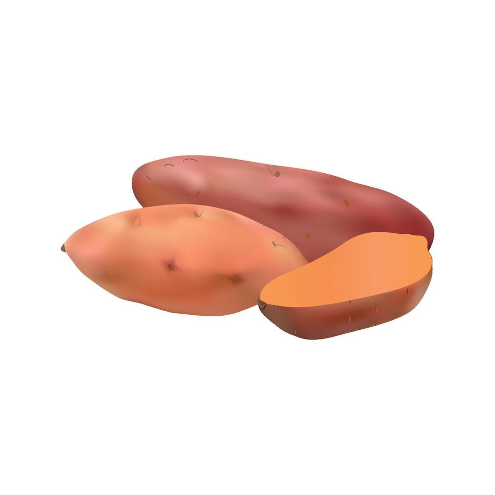 Vector illustration of Sweet potato