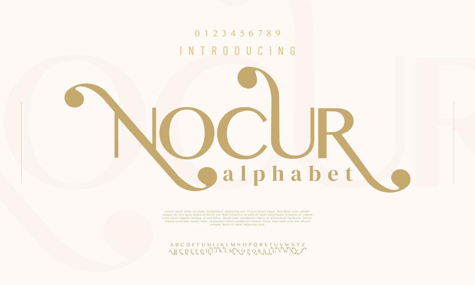 Nocur swash luxury font. Elegant typeface for wedding, invitation, fashion vector