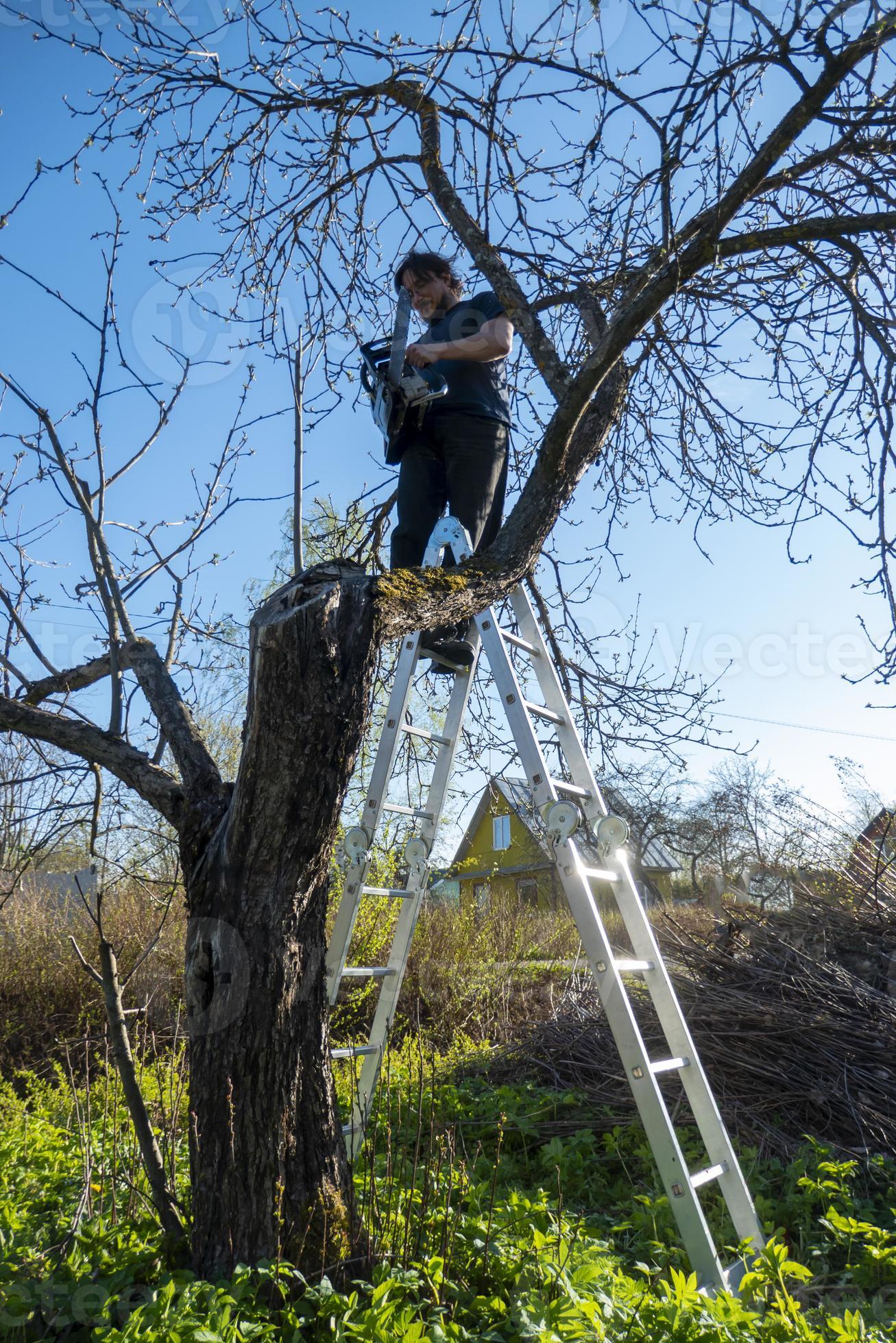 Man pruning or sawing apple tree using chainsaw. farmer sowing the dry