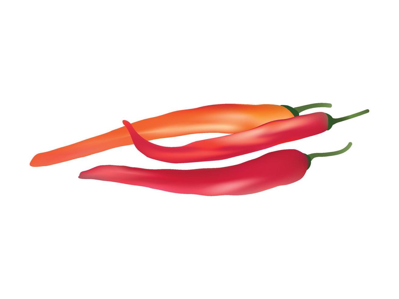 Vector illustration of Chili pepper