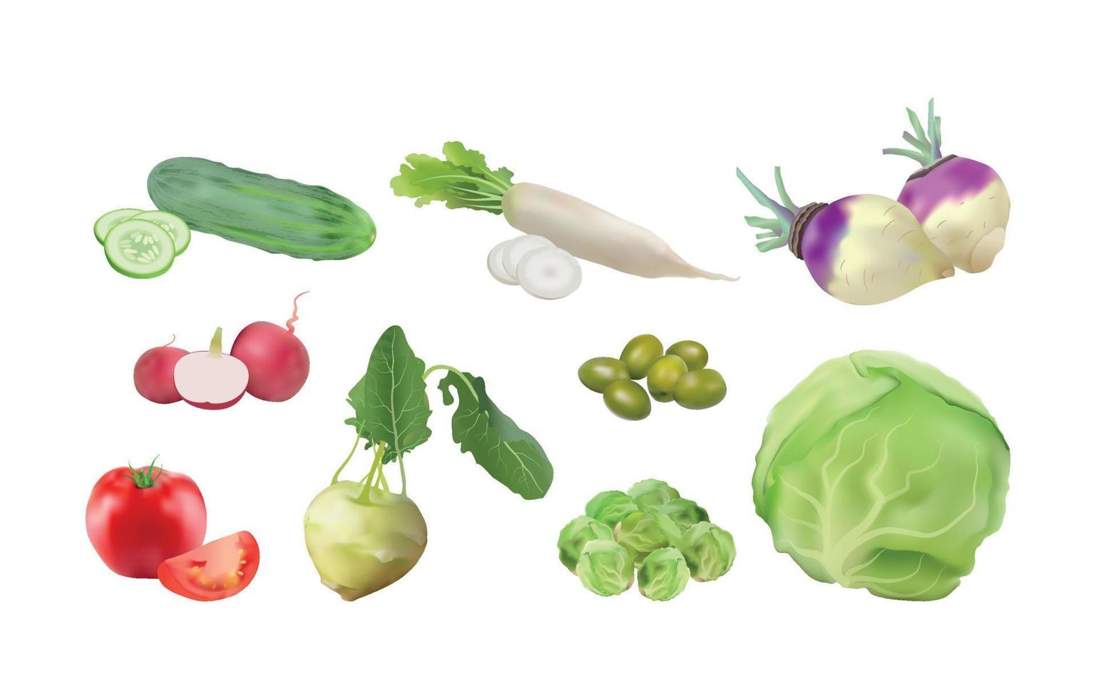 Set of Vegetables vector