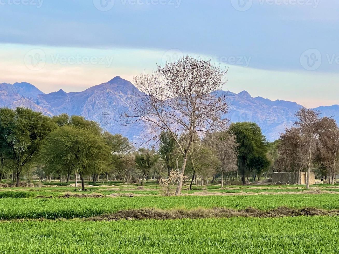 Beautiful Rural landscape with beautiful gradient evening sky at sunset. Green field and village photo