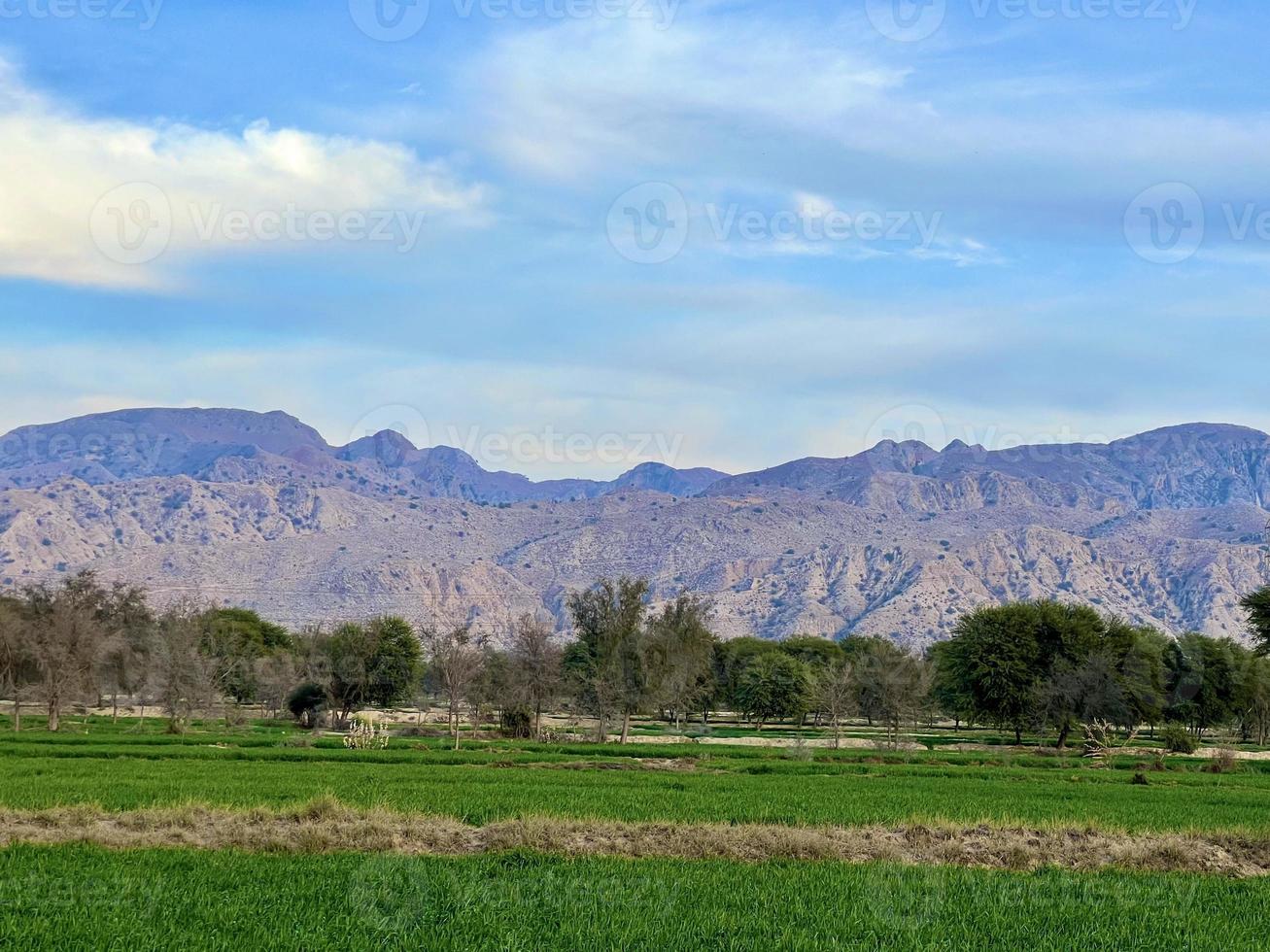 Beautiful Rural landscape with beautiful gradient evening sky at sunset. Green field and village photo