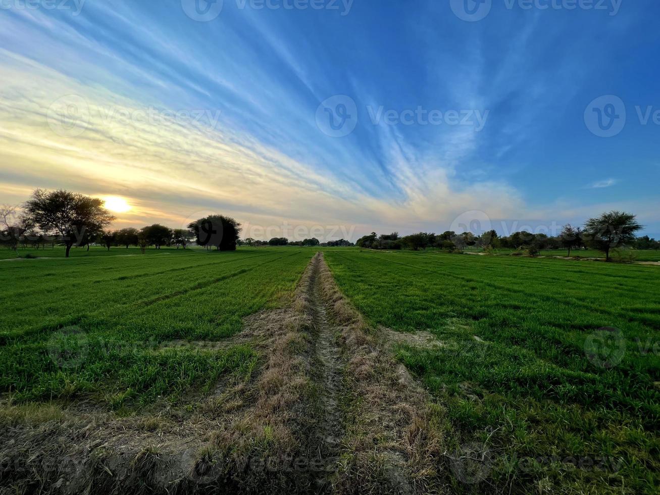 hermoso paisaje rural con un hermoso cielo nocturno degradado al atardecer. campo verde y pueblo foto