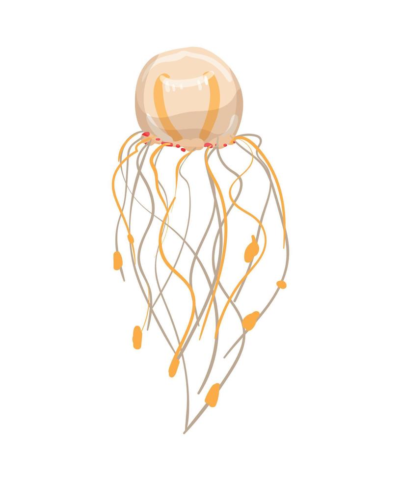 Vector illustration of Jellyfish
