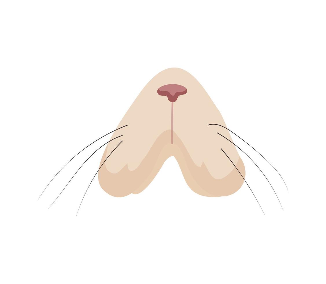 ilustración vectorial de nariz de gato vector