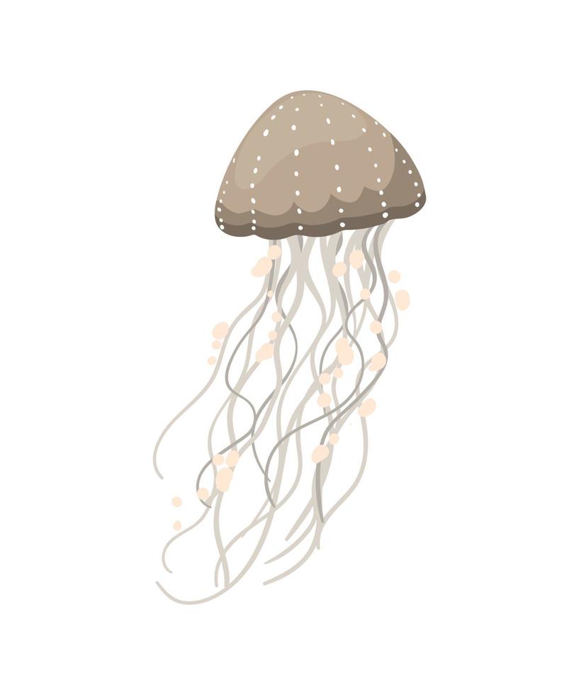 ilustración vectorial de medusas vector