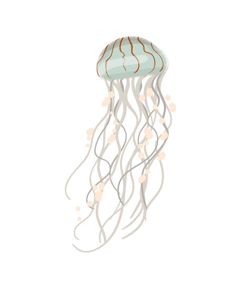 Vector illustration of Jellyfish