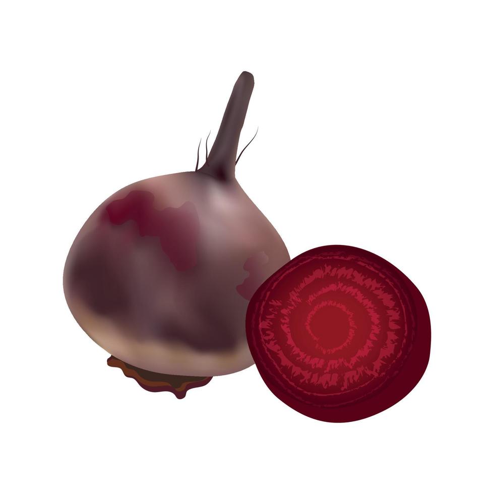 Vector illustration of Beet