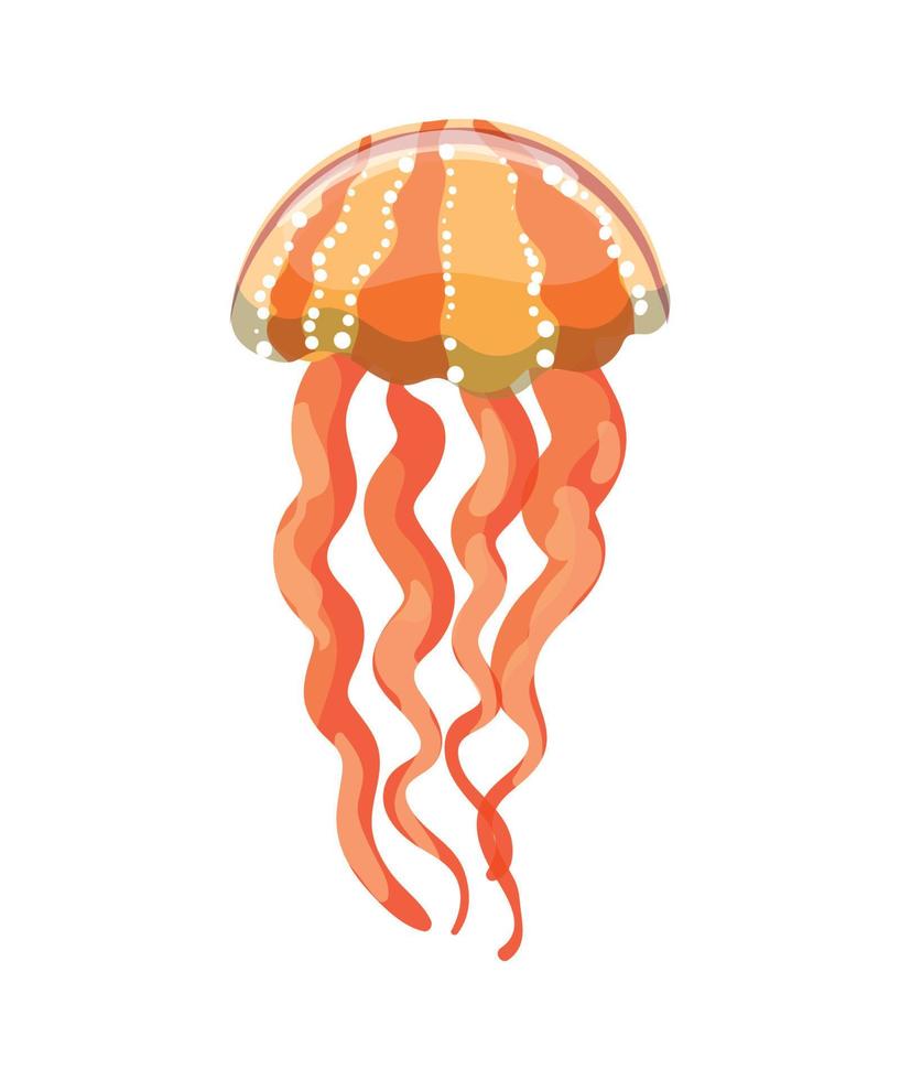 Vector illustration of Jellyfish