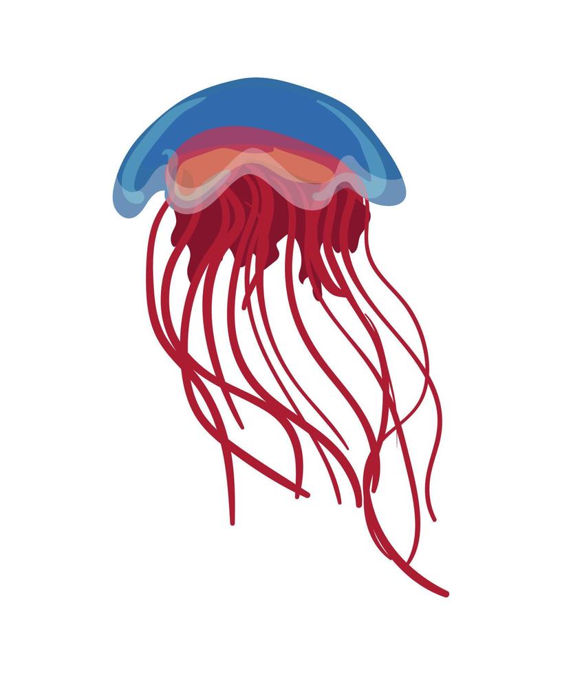 Vector illustration of Jellyfish
