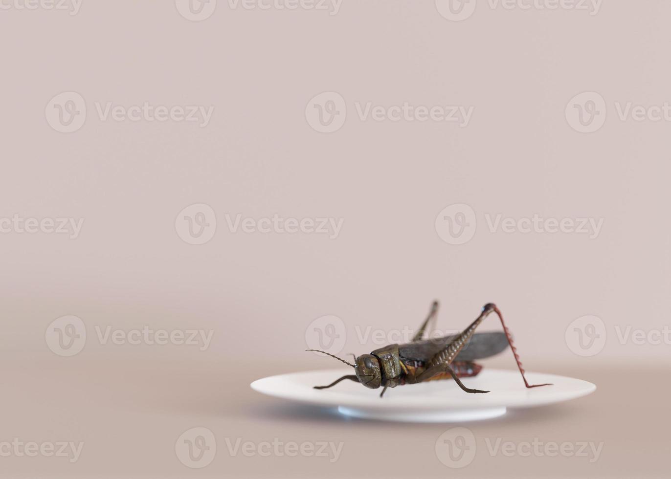 Edible insects. Crickets as snack, good source of protein. Copy space for text. Entomophagy, insectivory concept. Fried insects. Close up view. 3D rendering. photo