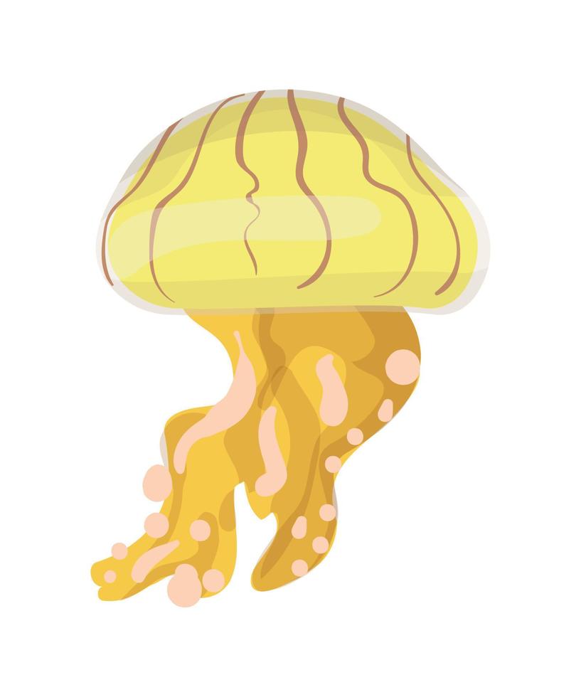Vector illustration of Jellyfish