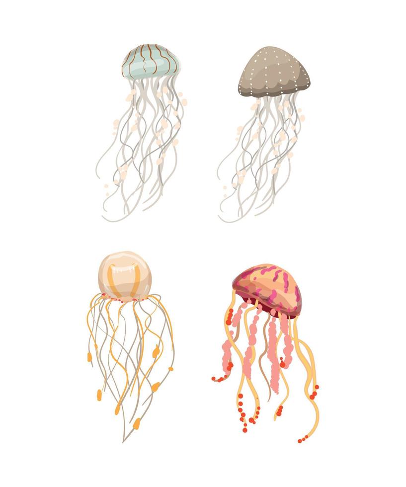 Set of Jellyfishes vector